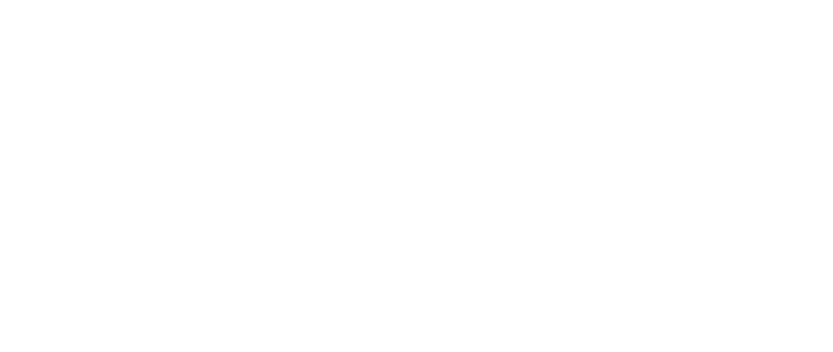 REVOTERM